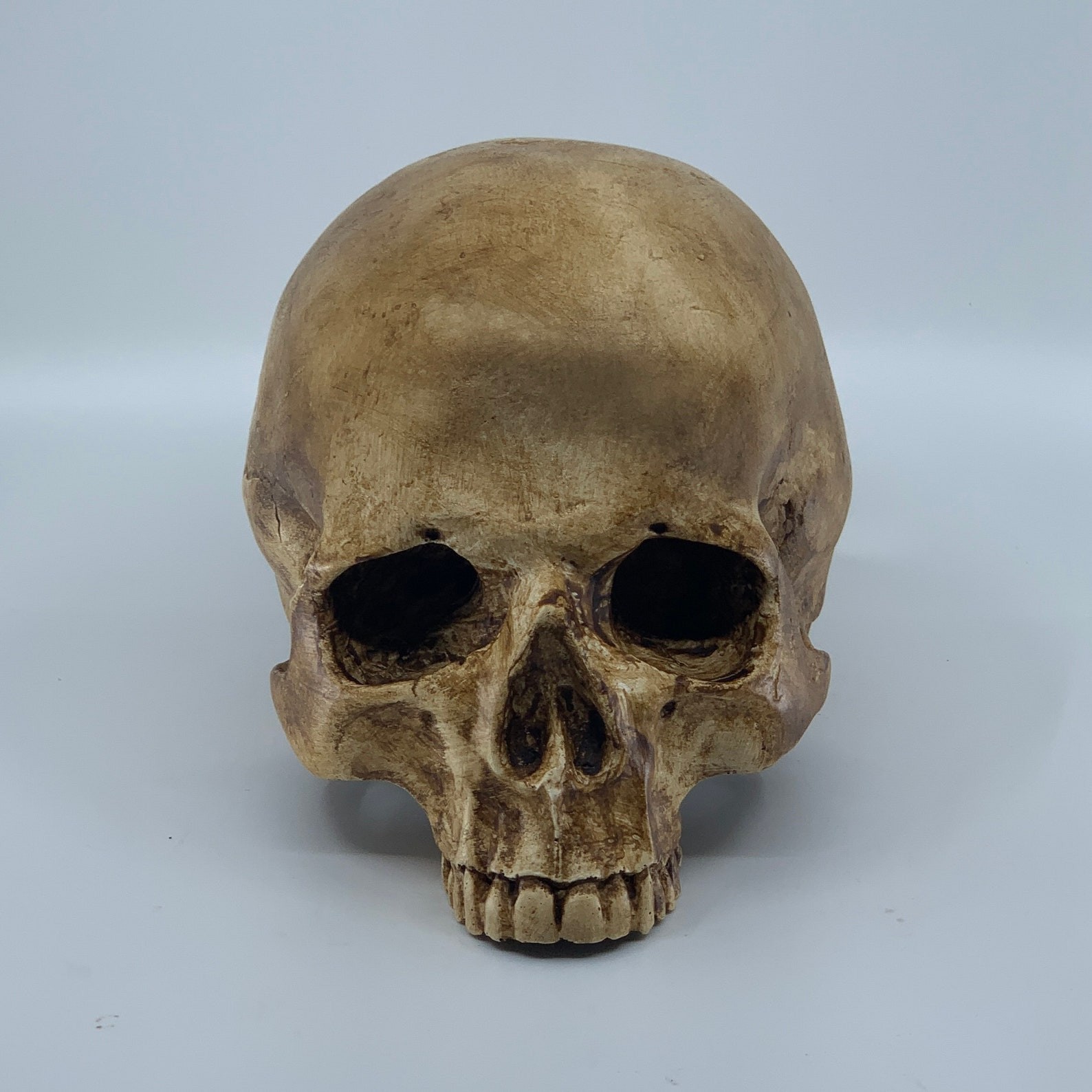 Catacomb Skull Replica, Hand-Painted Resin Sculpture