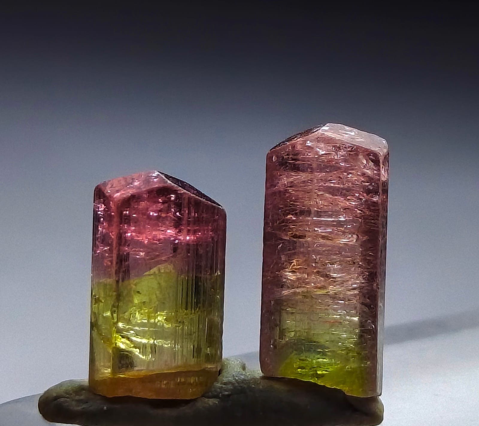 Natural Watermelon Tourmaline Crystal Specimen Bi Color Green Pink Gem Rough 