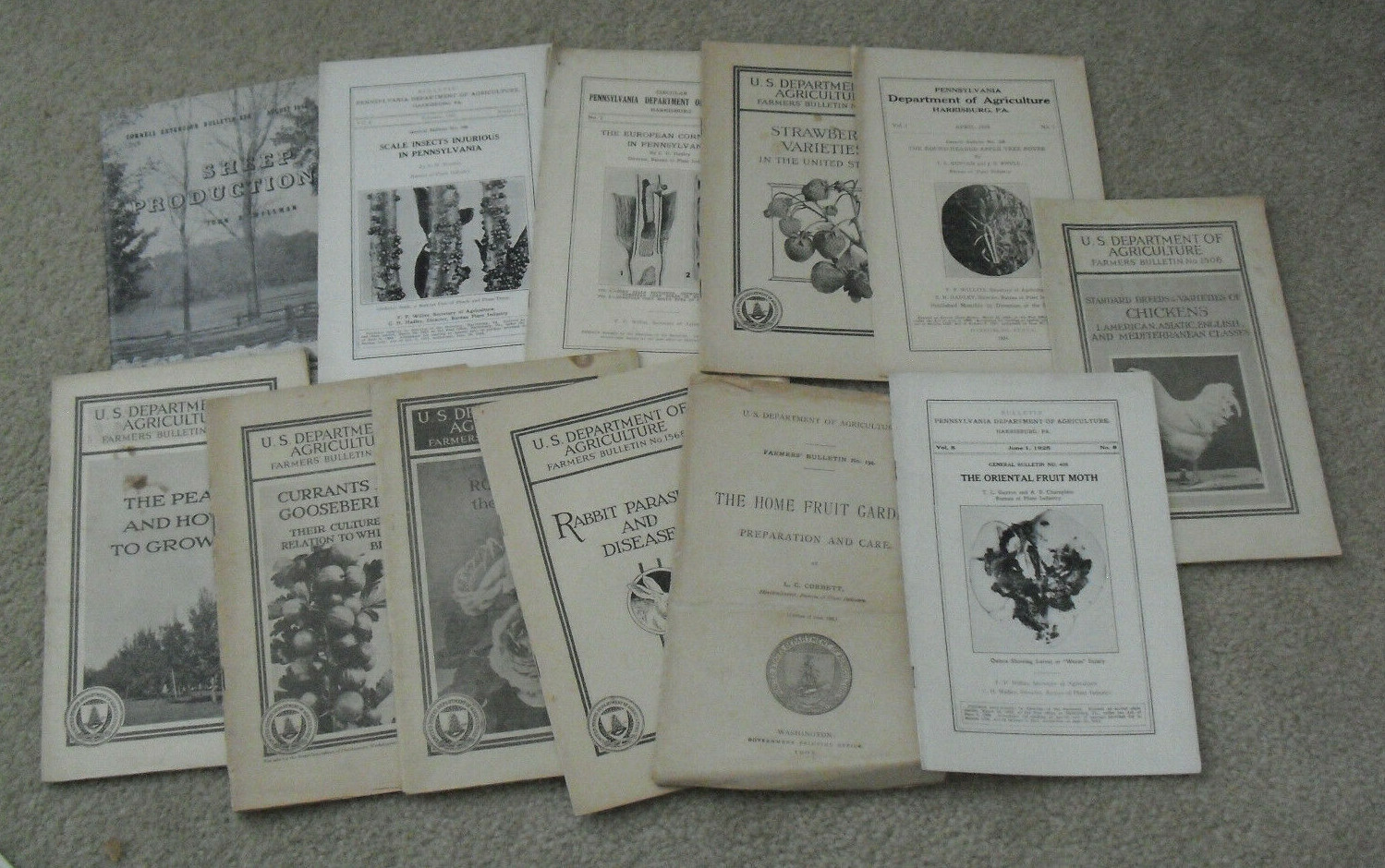 Lot of 13 Vintage 1905-30s Pennsylvania Dept of Agriculture Farming Booklets Lot of 13 Vintage 1905-30s Pennsylvania Dept of Agriculture Farming Booklets