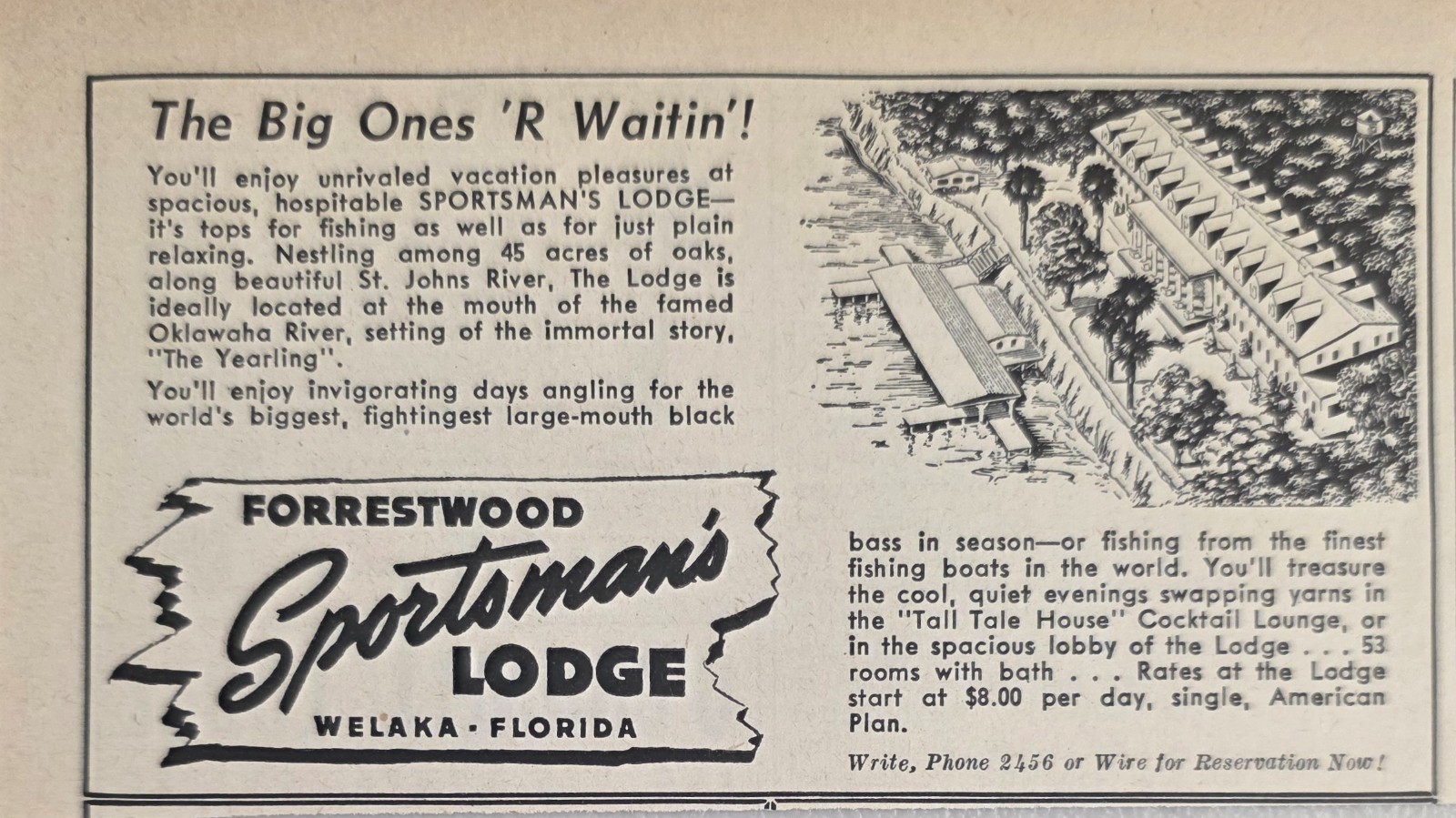 1946 Print Ad Forrestwood Sportsman\'s Lodge Black Bass Fishing Welaka,Florida