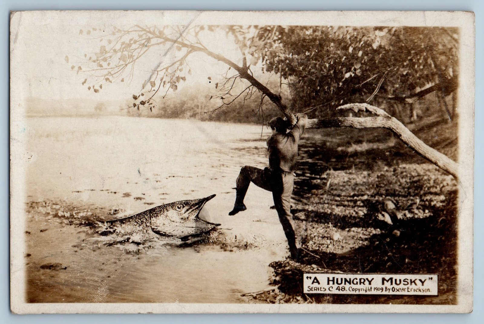c1910\'s A Hungry Musky Big Fish Man RPPC Photo Unposted Antique Postcard