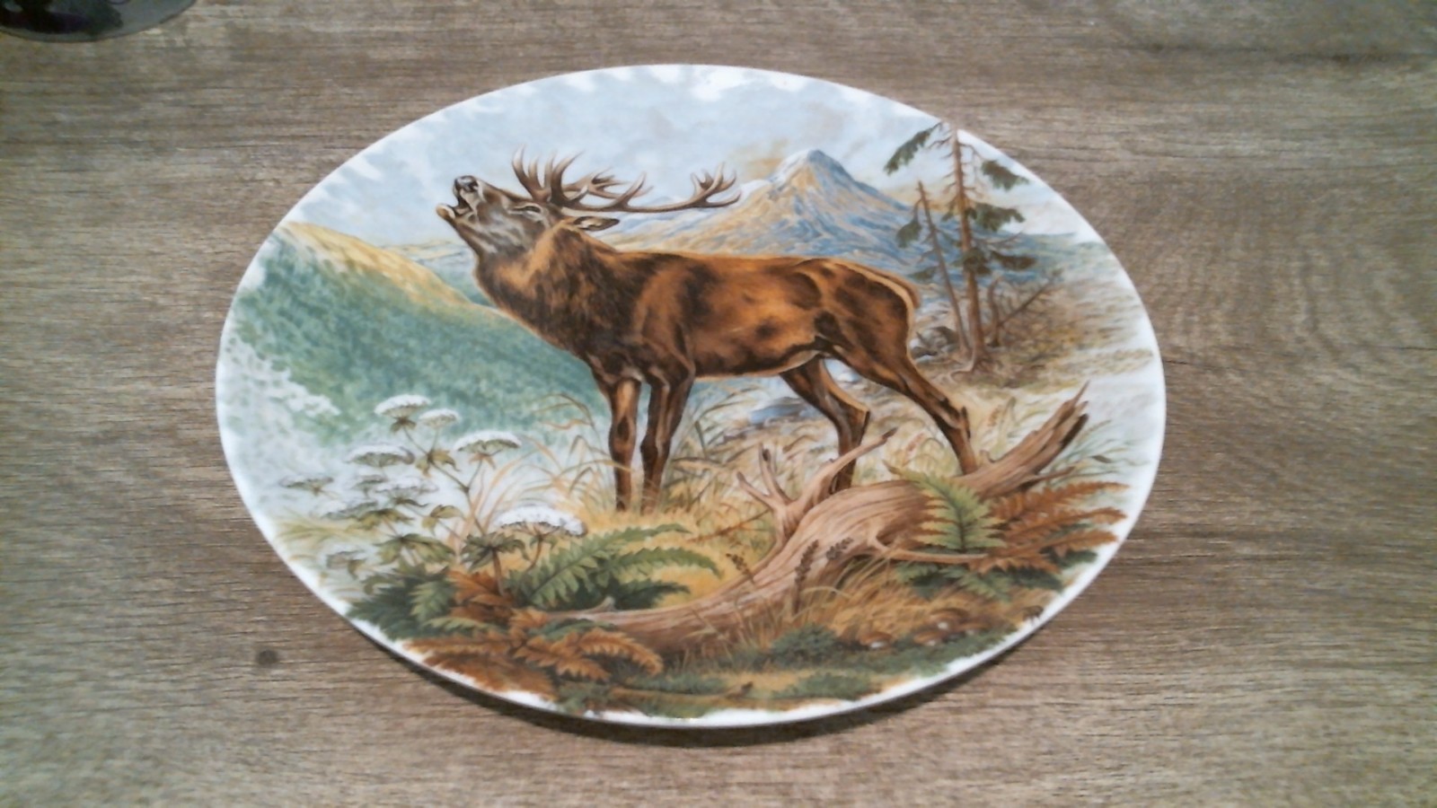 Kaiser W. Germany Elk Collector Wall Plate