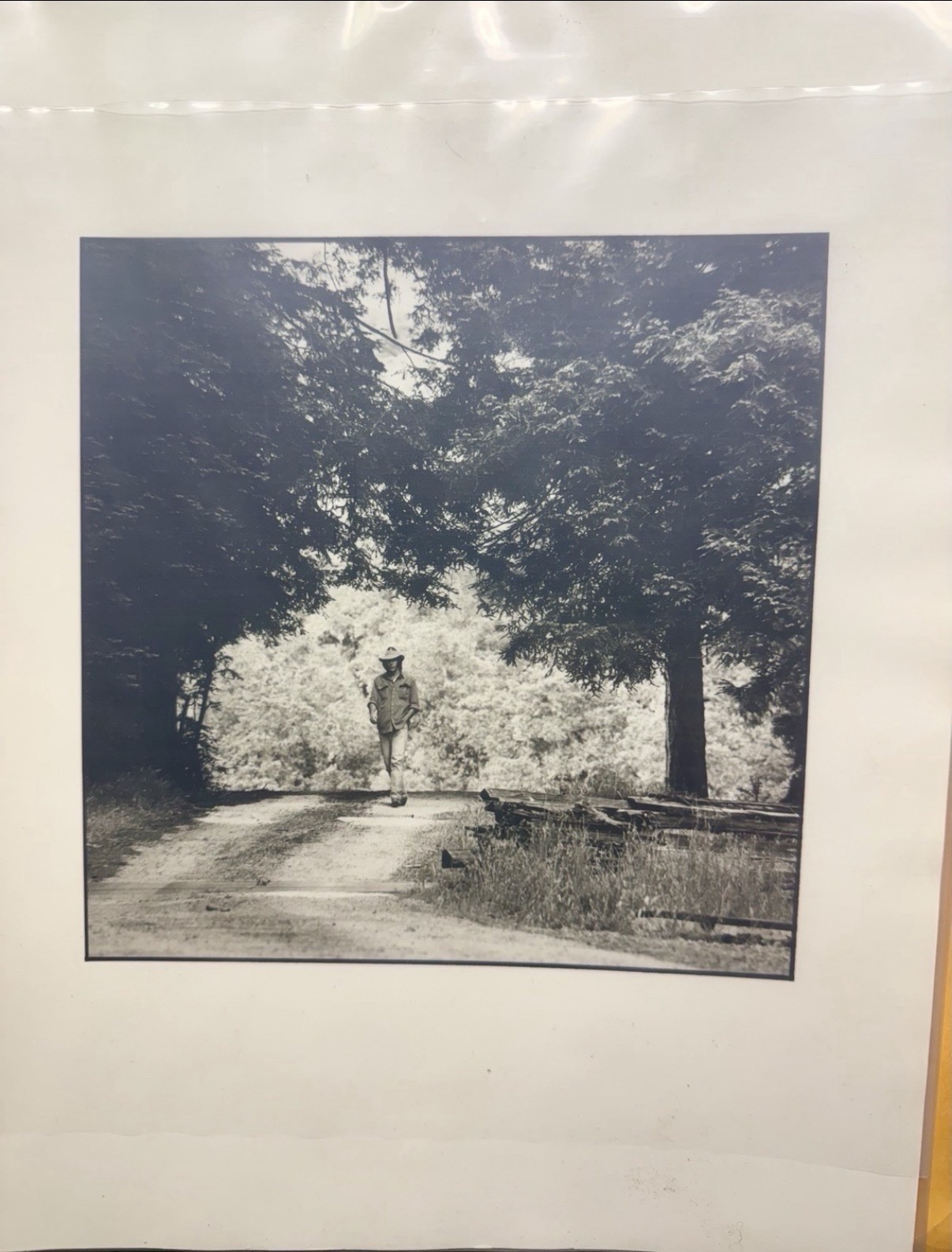 RARE++ Neil Young THE ORIGINAL PRINT used for Inner Sleeve 1985 Old Ways LP, COA