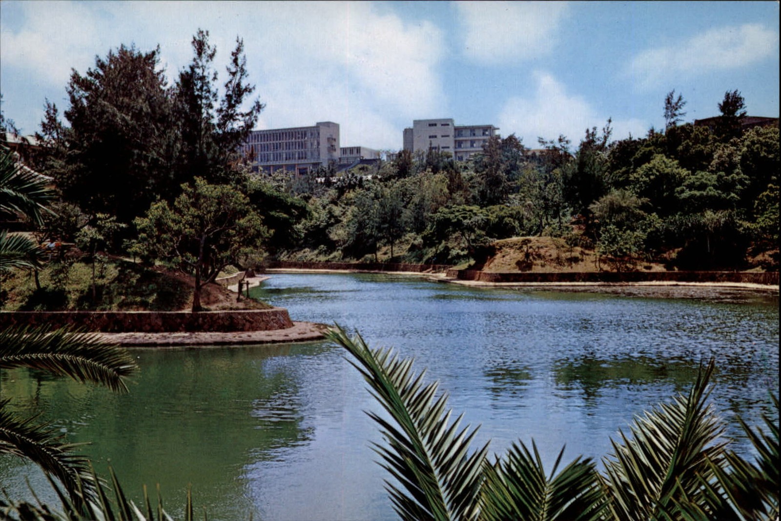 Ryukyu University Okinawa Japan ~ vintage postcard