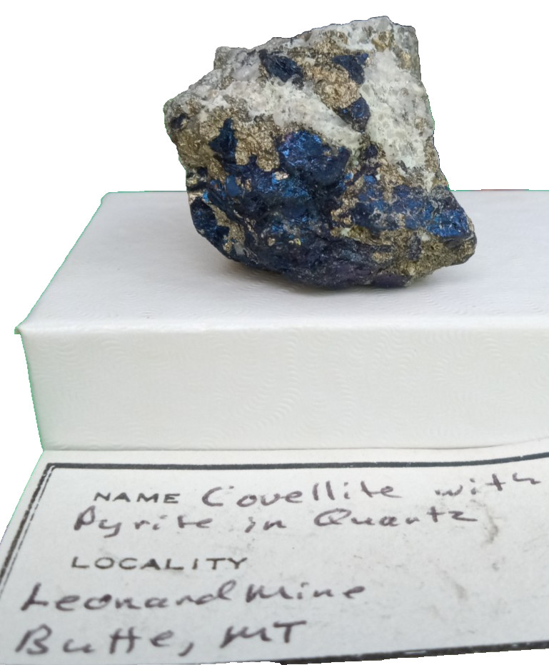 Covellite with pyrite in quartz from butte MT USA