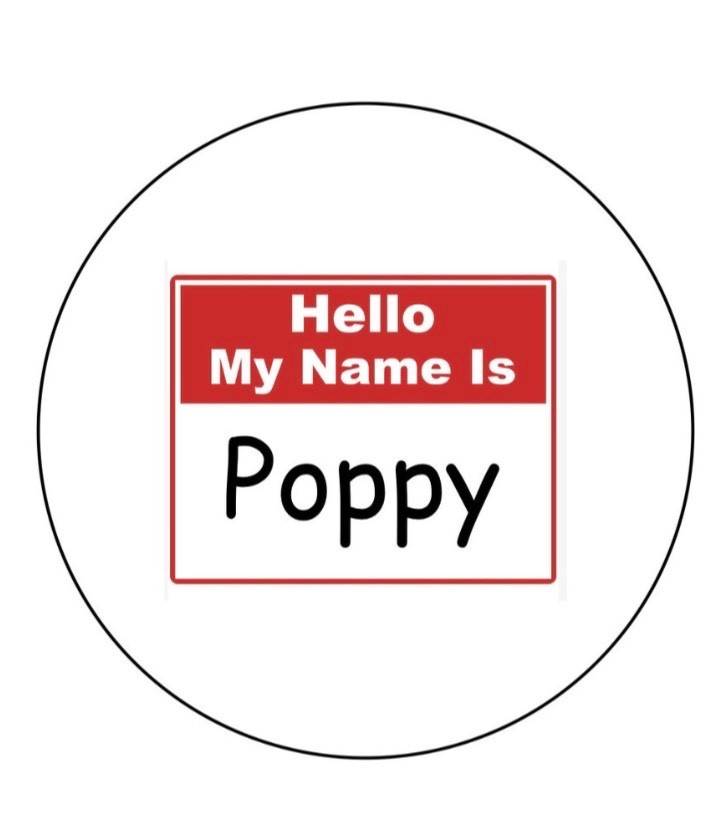 Poppy Hello My Name Is  2.25”  Pinback Button Pin  Badge