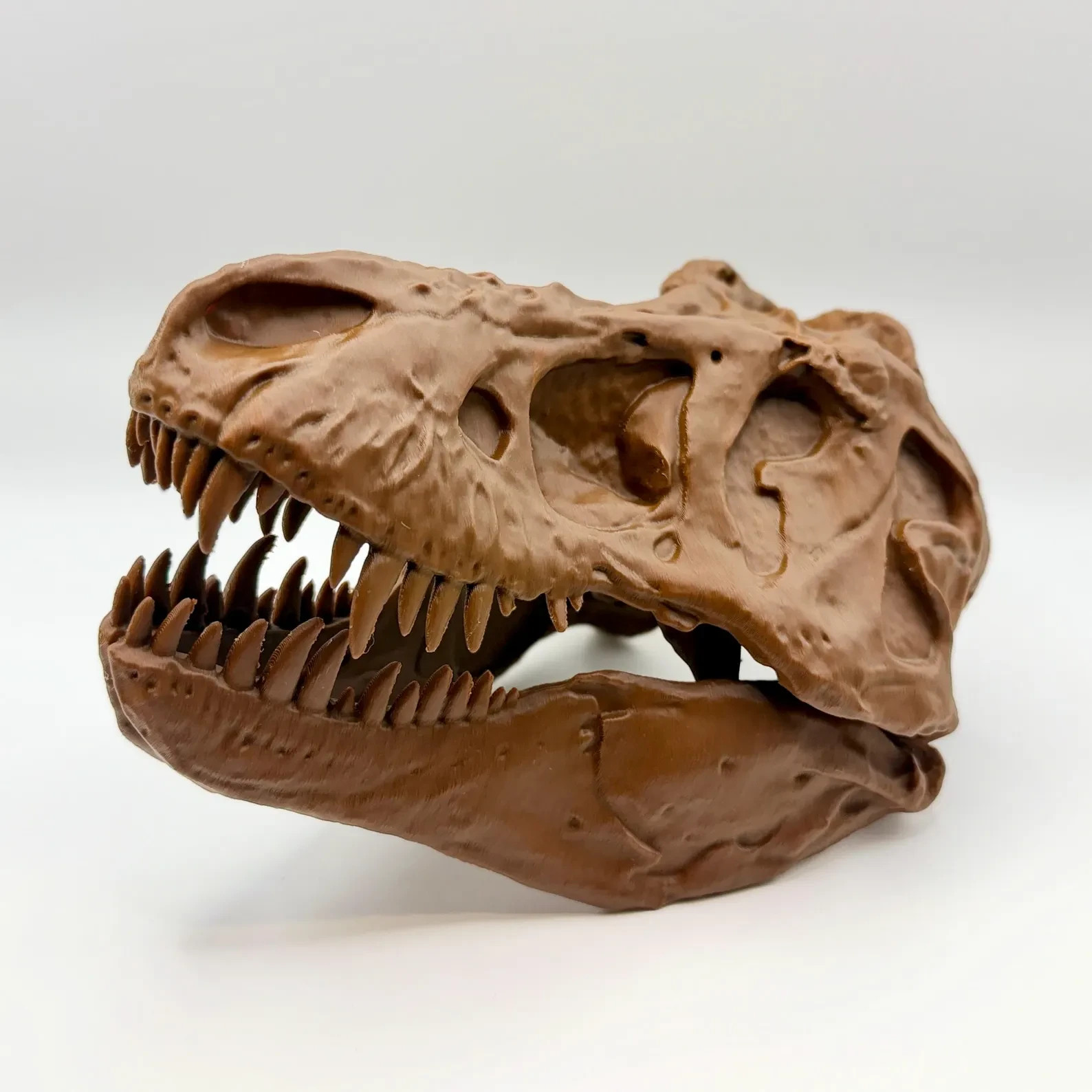 T-Rex Skull Replica AMNH 5027 Dinosaur Fossil 3D Printed Home Office Decor