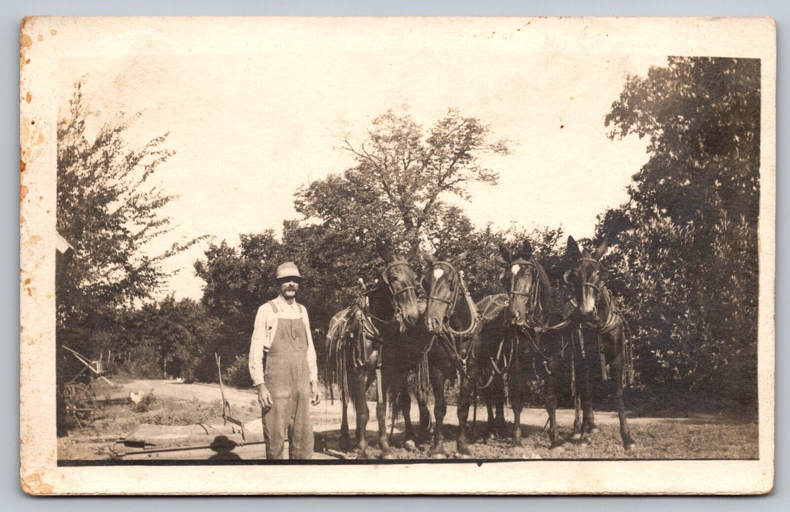 RPPC c1910 Farmer Overalls Four Handsome Mules Posing in Harness A25