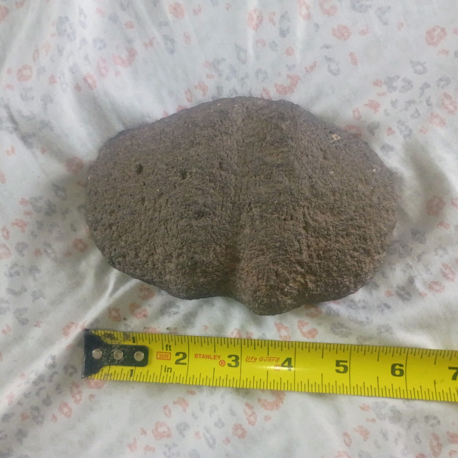NATIVE AMERICAN Artifact  **WOW** VERY OLD Item #58
