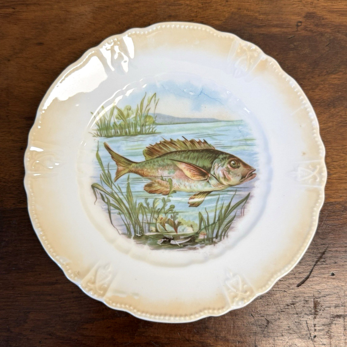 Antique German Porcelain Fish Cabinet Plate 8\