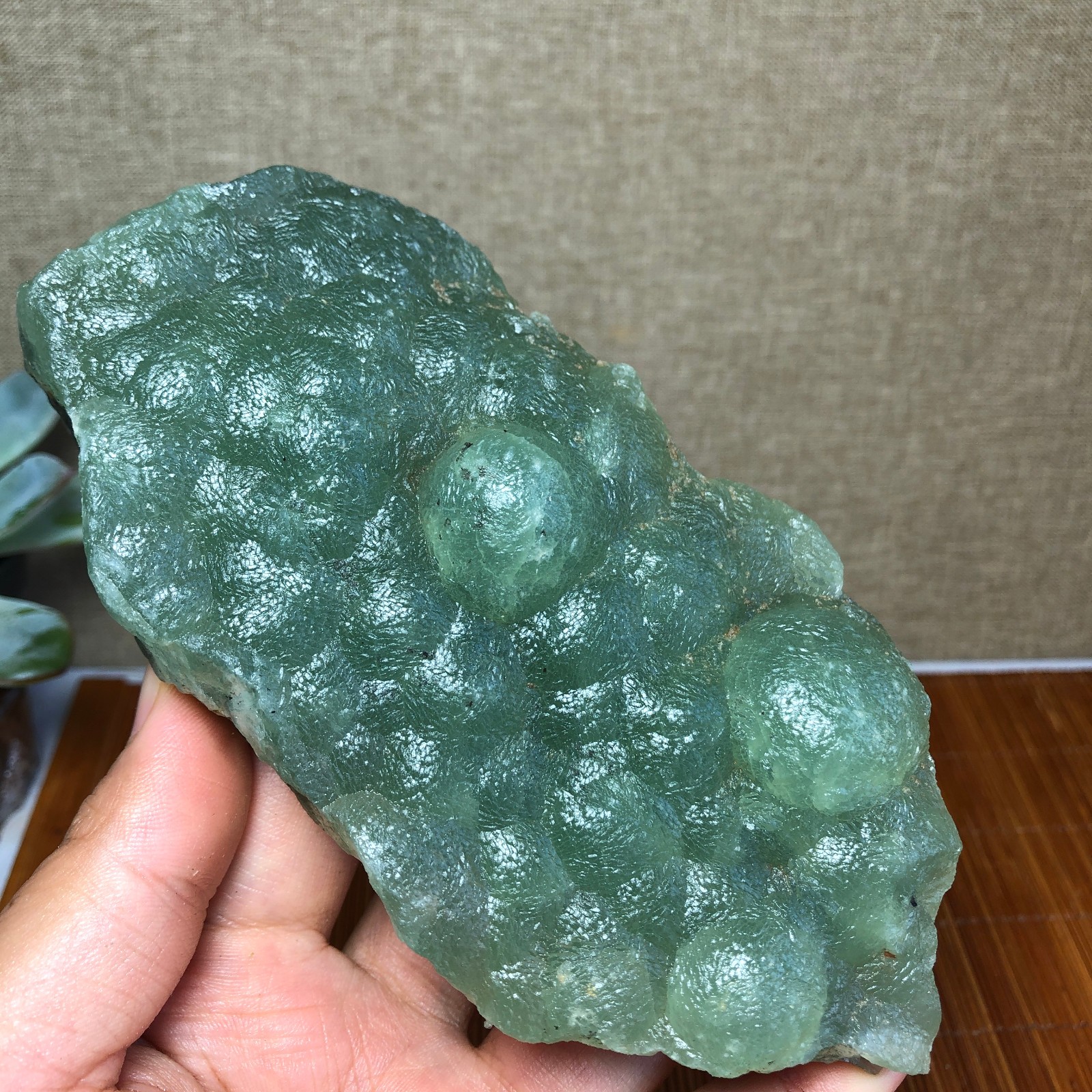 Natural grape Prehnite Tourmaline paragenesis Crystal specimen 518g g7322