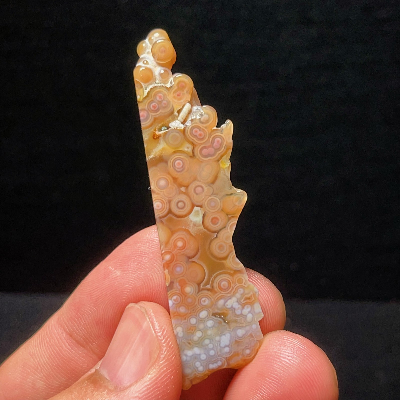 Rare 10G Natural Beautiful Ocean Jasper Stone Healing Agate Madagascar L8354