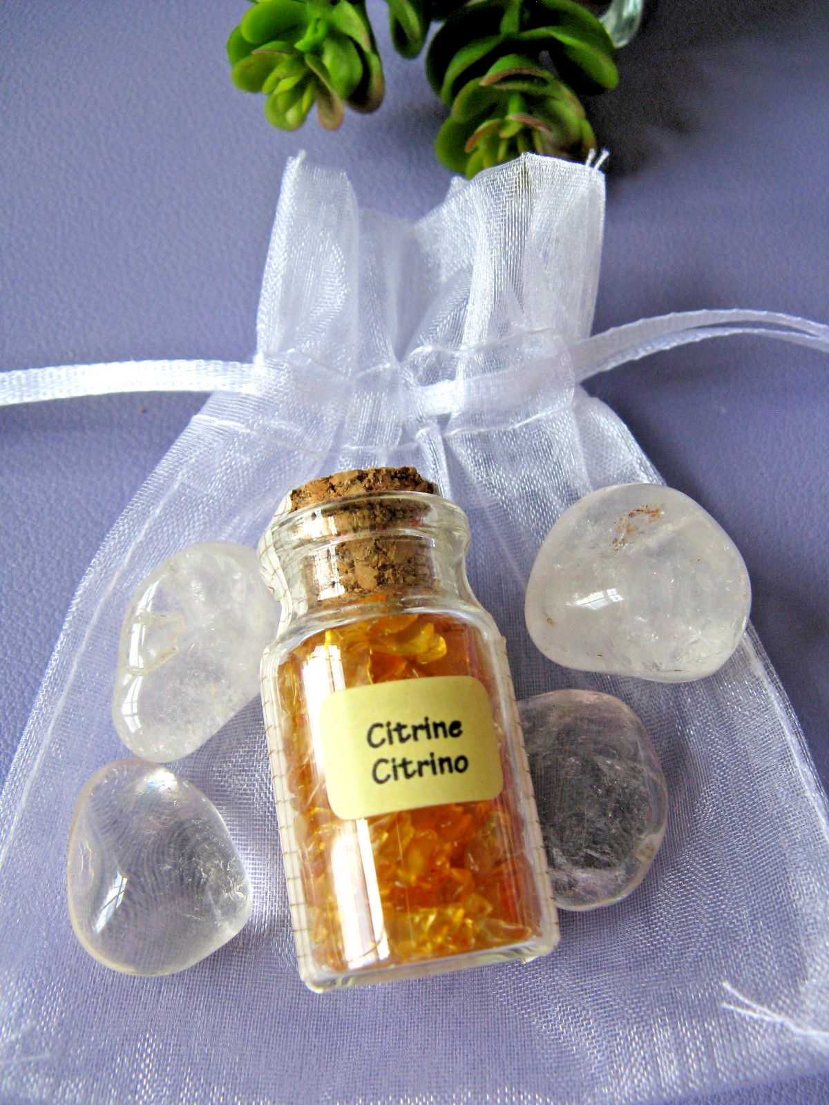 New Mini Fairy Size Natural Citrine Point w/Gemstones, Bottle & Quartz Crystals