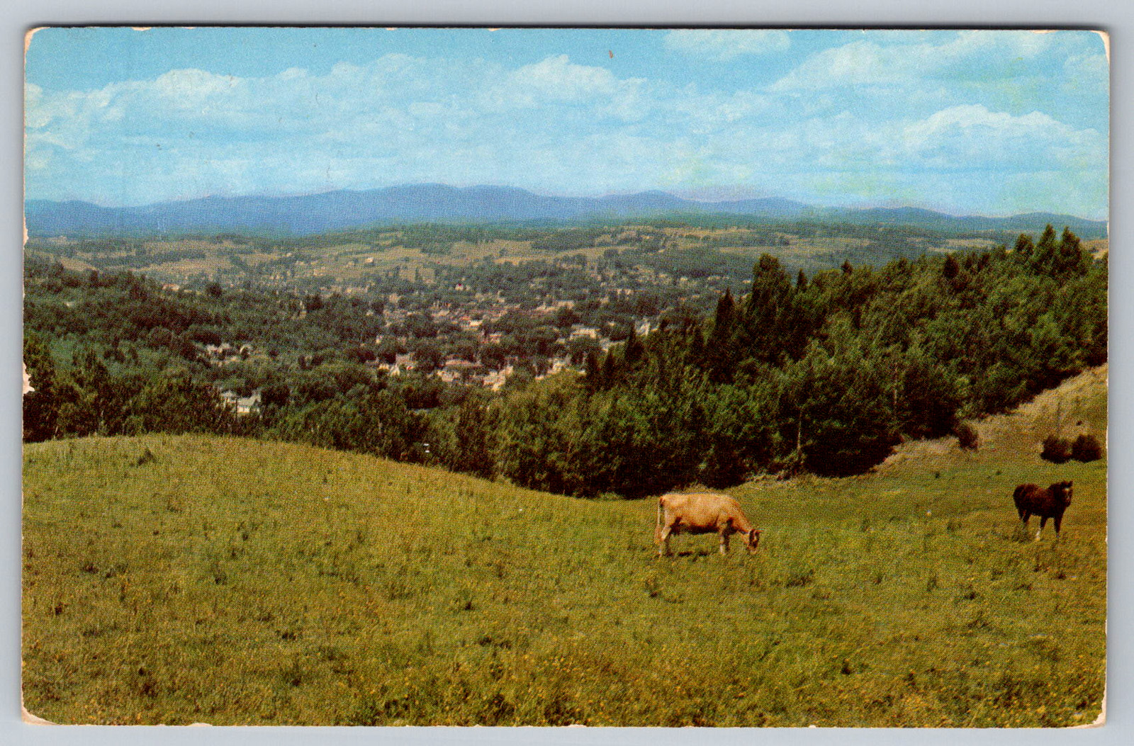 c1960s Bird\'s Eye View Barre Vermont Burlington Scenic Postcard