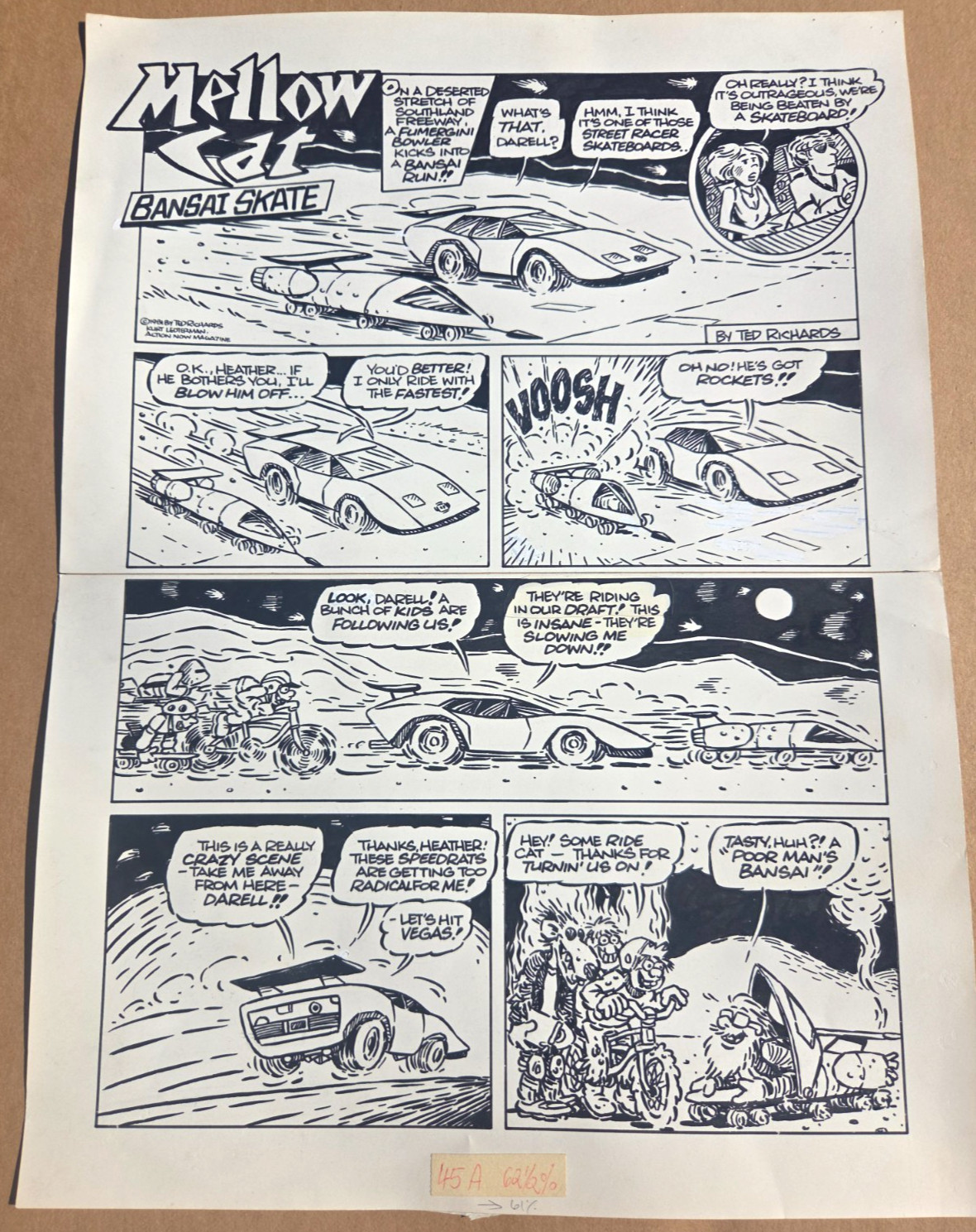 Skateboarder Magazine Original Artwork Cartoon Feature 1981 Ted Richards EX RARE