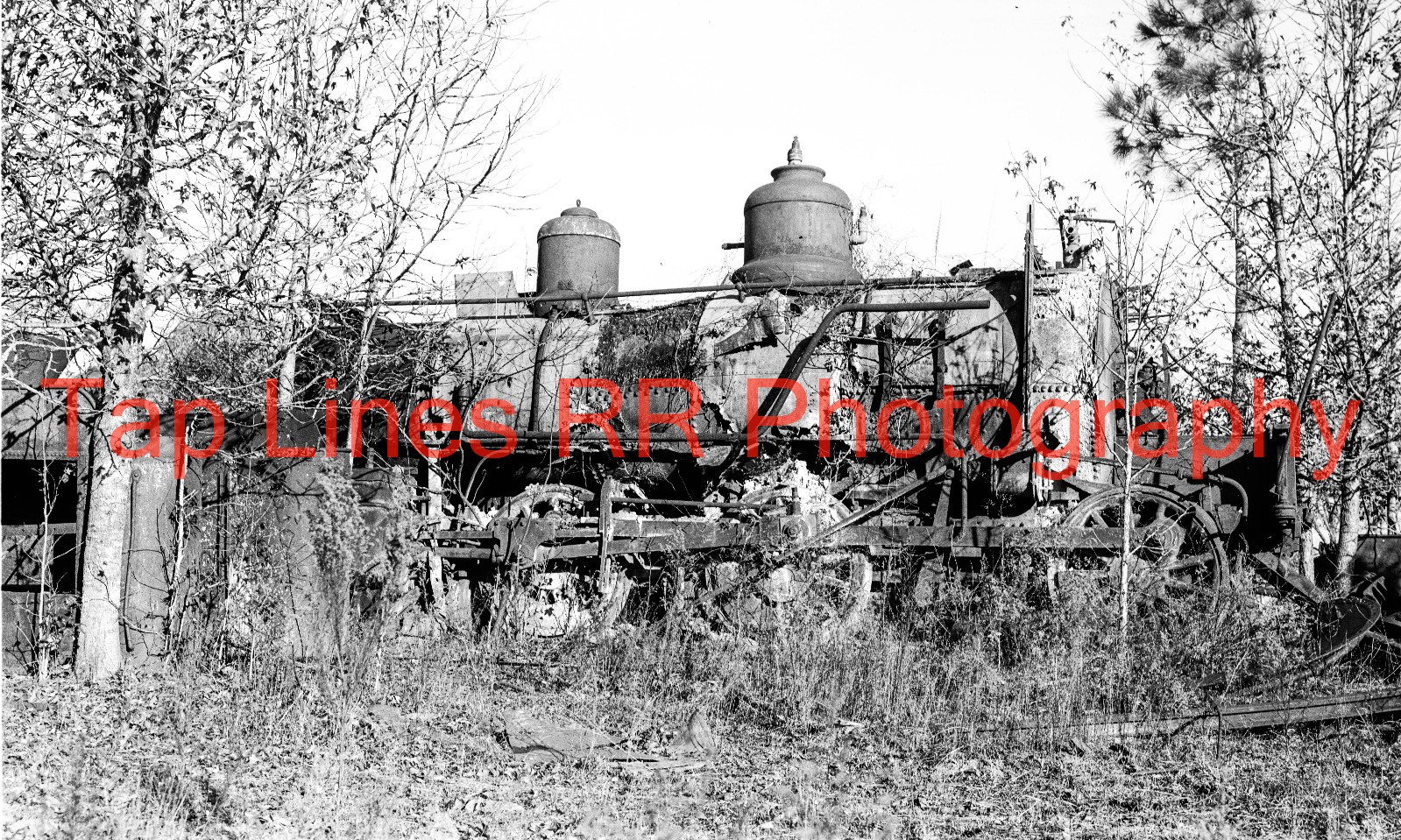 Alger Sulivan Lumber Escambia Ry #5 (5) 2-6-0 Century FL 12-1940   New 5x8 Photo