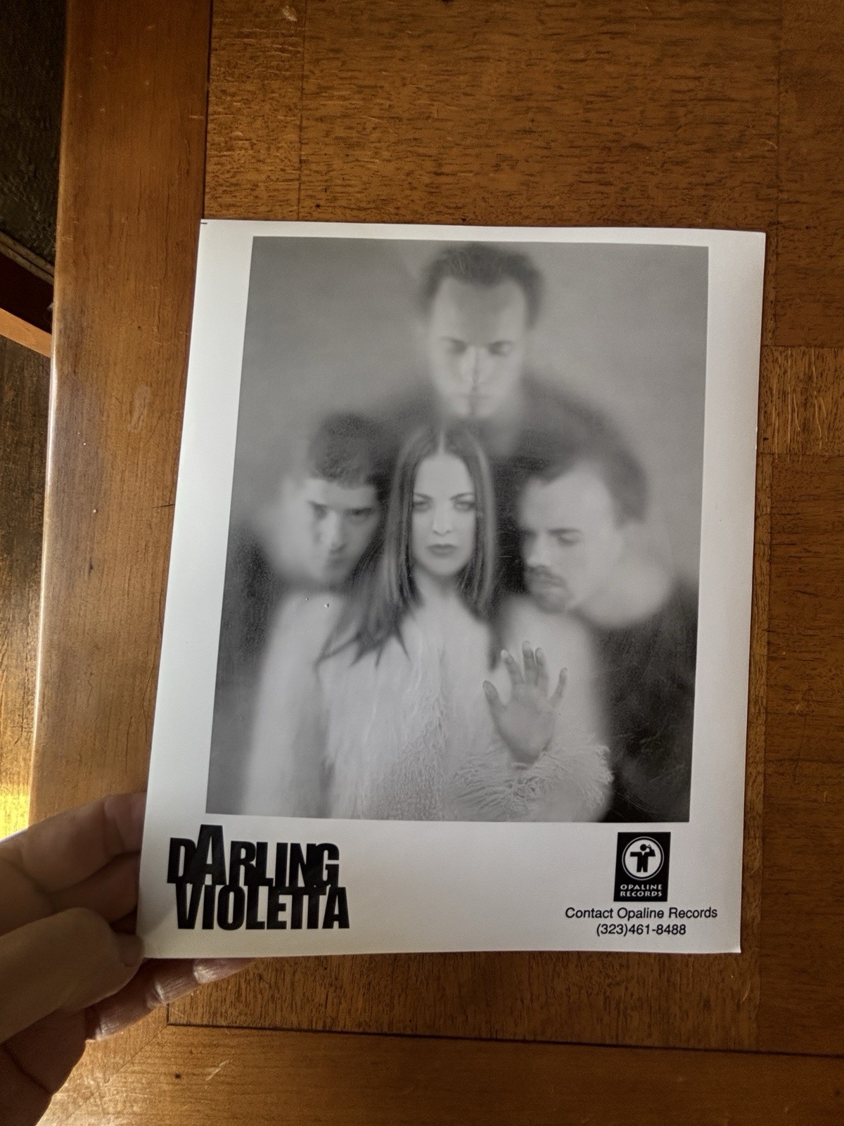 Darling Violetta Indie Music Group Rare Vintage 8x10 Press Photo # 2