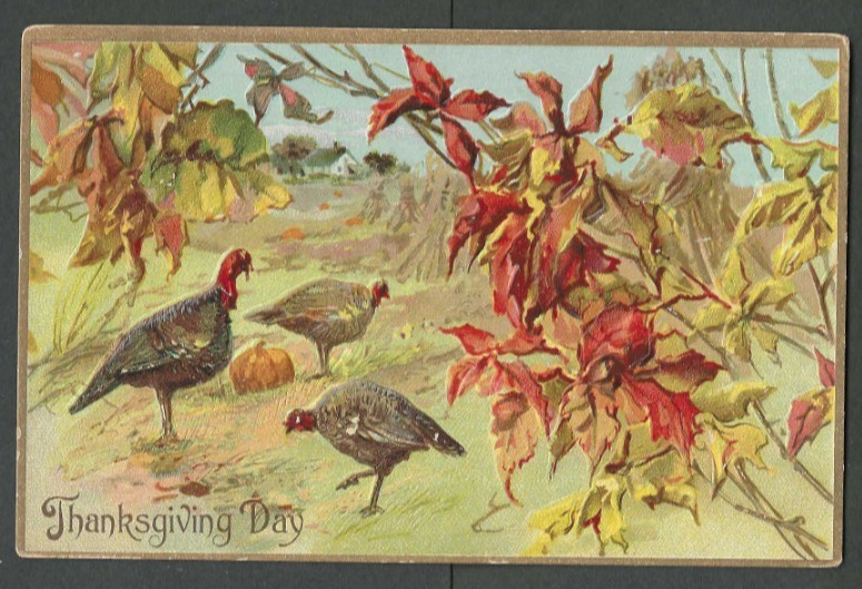 Vintage Thanksgiving Tuck\'s Postcard Embossed & Gilded