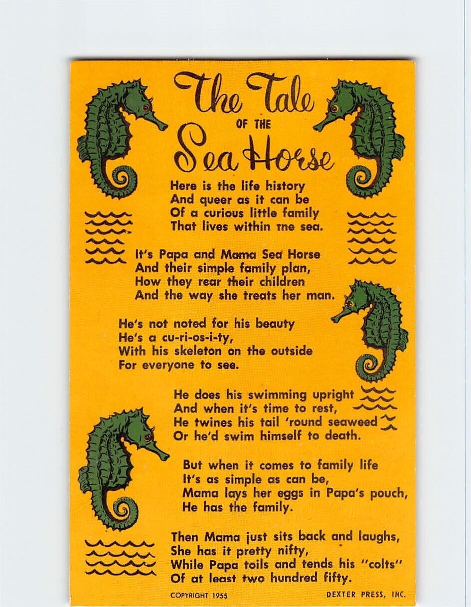 Postcard The Tale of the Seahorse