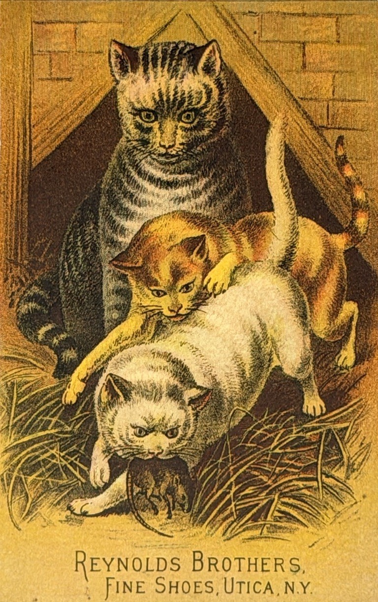 Vintage Victorian Trade Card Reynolds Brothers Fine Shoes Utica NY Cats Mouse
