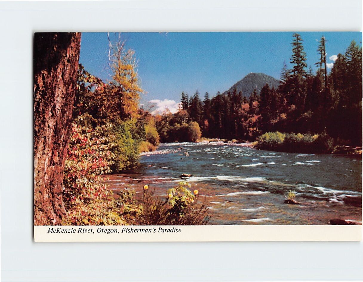 Postcard Fisherman's Paradise, McKenzie River, Oregon