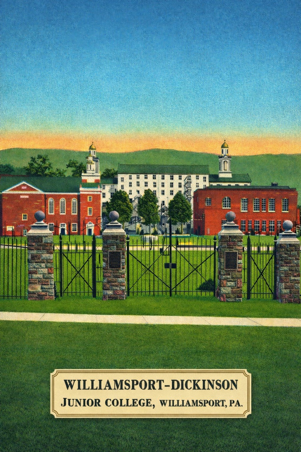 🎓 Williamsport-Dickinson Junior College Poster - Vintage Campus Art 24x36” -
