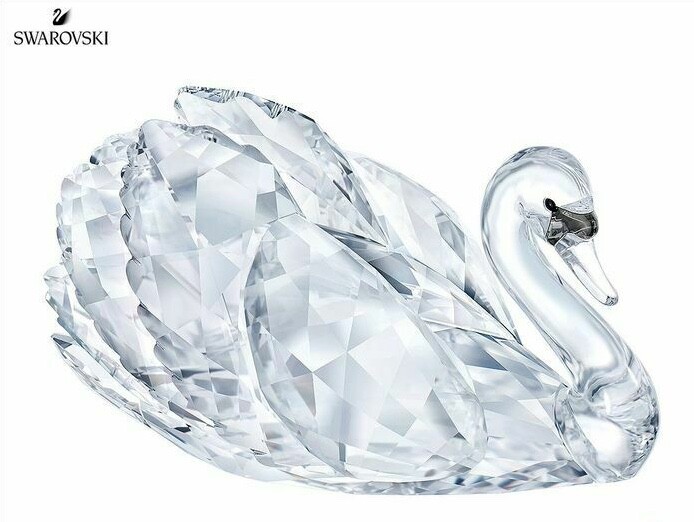 Swarovski Graceful Swan MIB #5397895