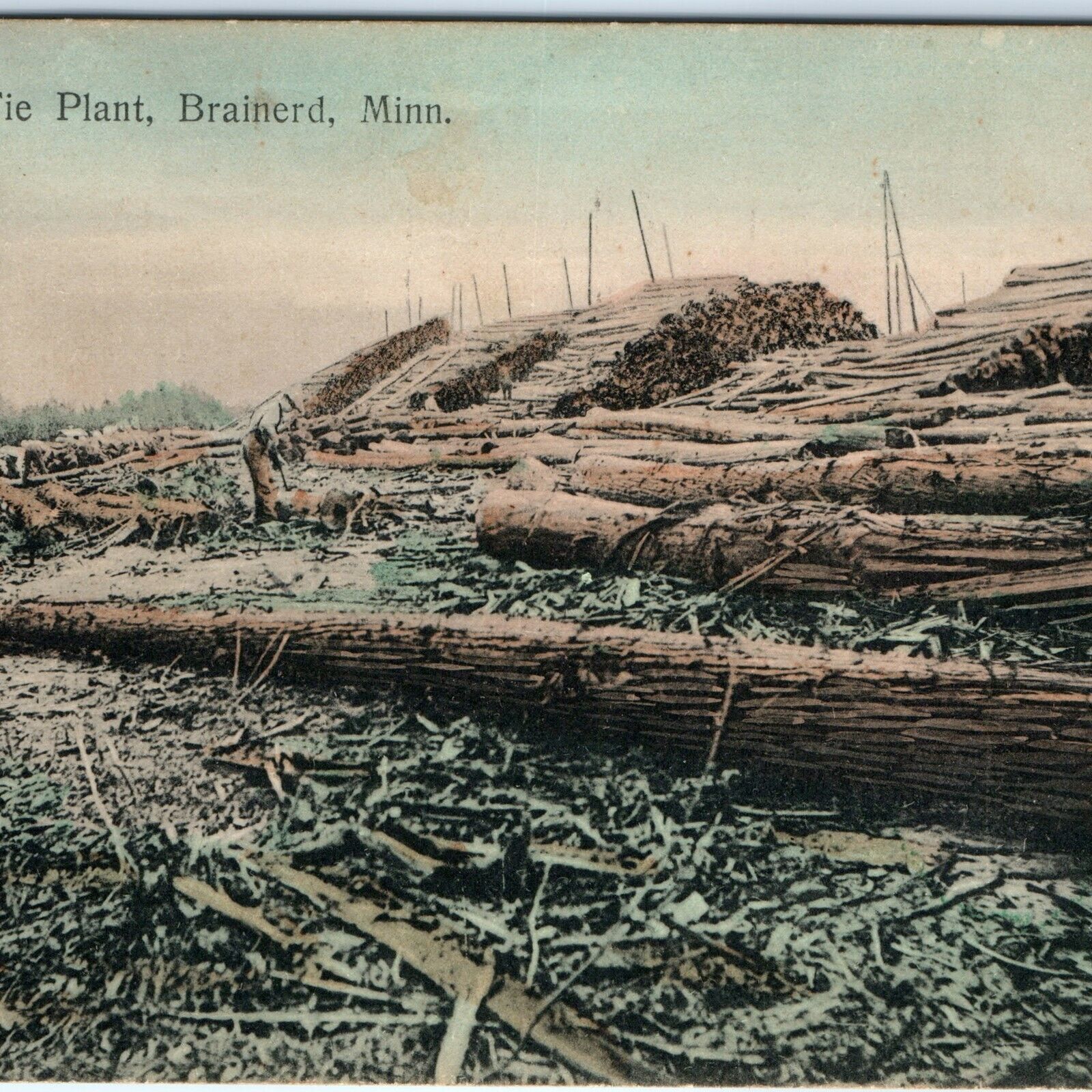 c1900s Brainerd, MN Cedar Tie Plant Logging Mill Postcard Forestry Minn A158