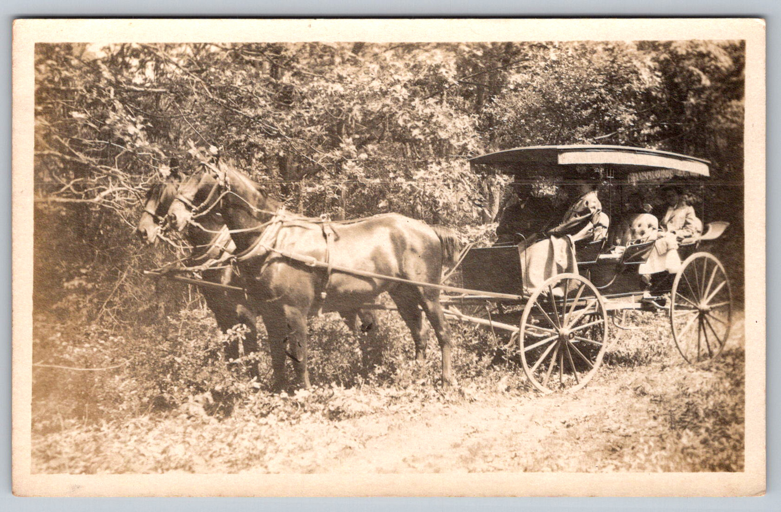 RPPC c1910s Family in Fringe Canopy Surrey Carriage Two Horse Team Postcard