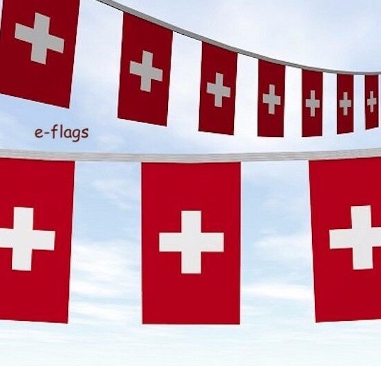  10 Metre\'s Switzerland Swiss Suisse Flag Party Bunting Banner Speedy Delivery