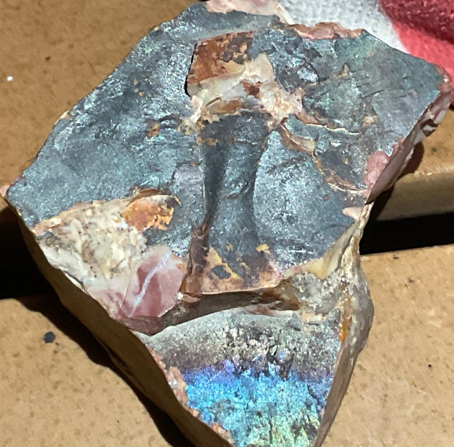 RARE GENUINE POLYCHROME JASPER&CHALCEDONYFACE OF A MAN FORMED INTO STONE