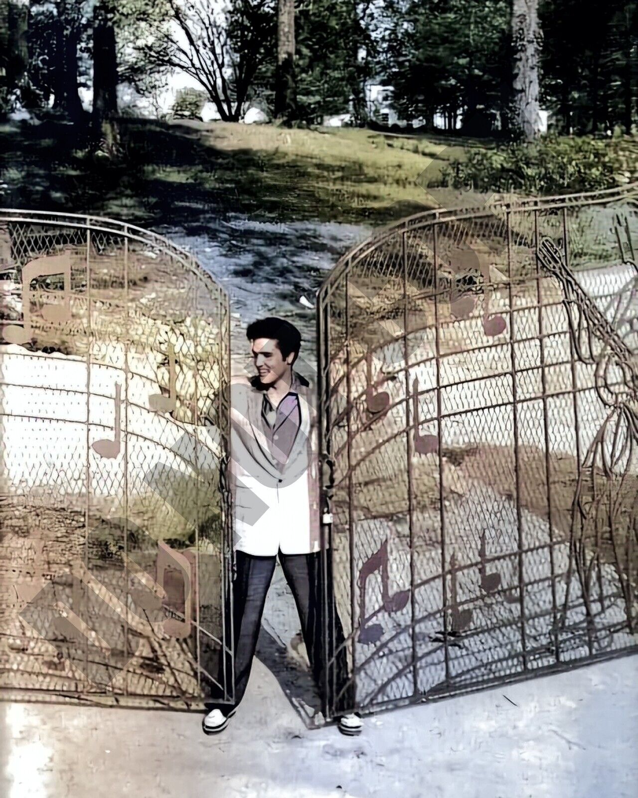 1957 Elvis Presley at Graceland Looking At the Newly Installed Gates 8x10 Photo