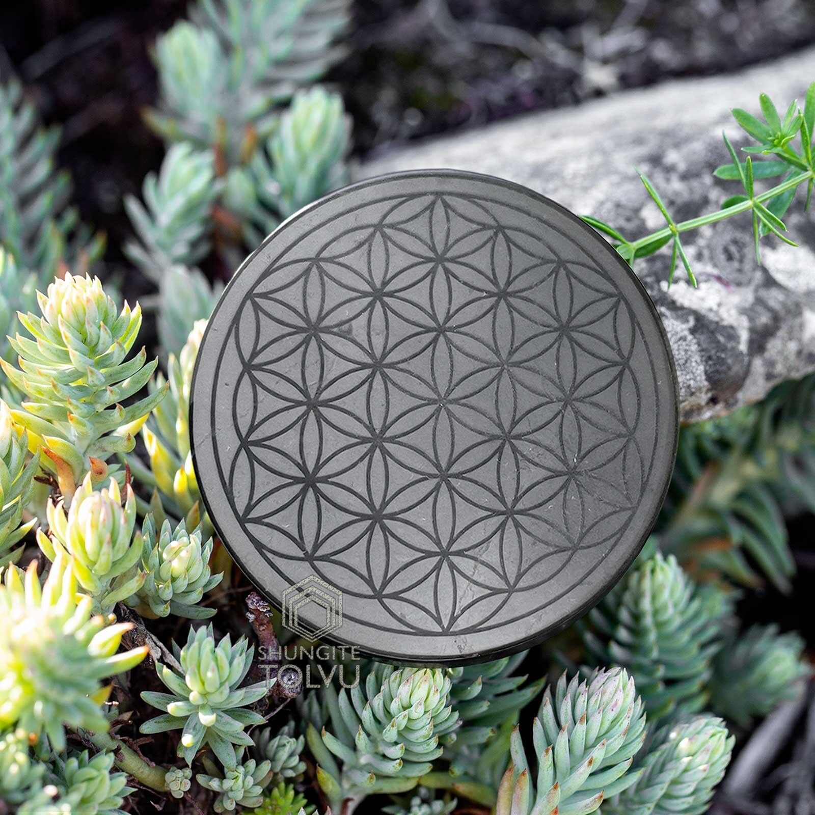 Large Shungite Disk Flower of life Engraved plate EMF Protection stone, Tolvu