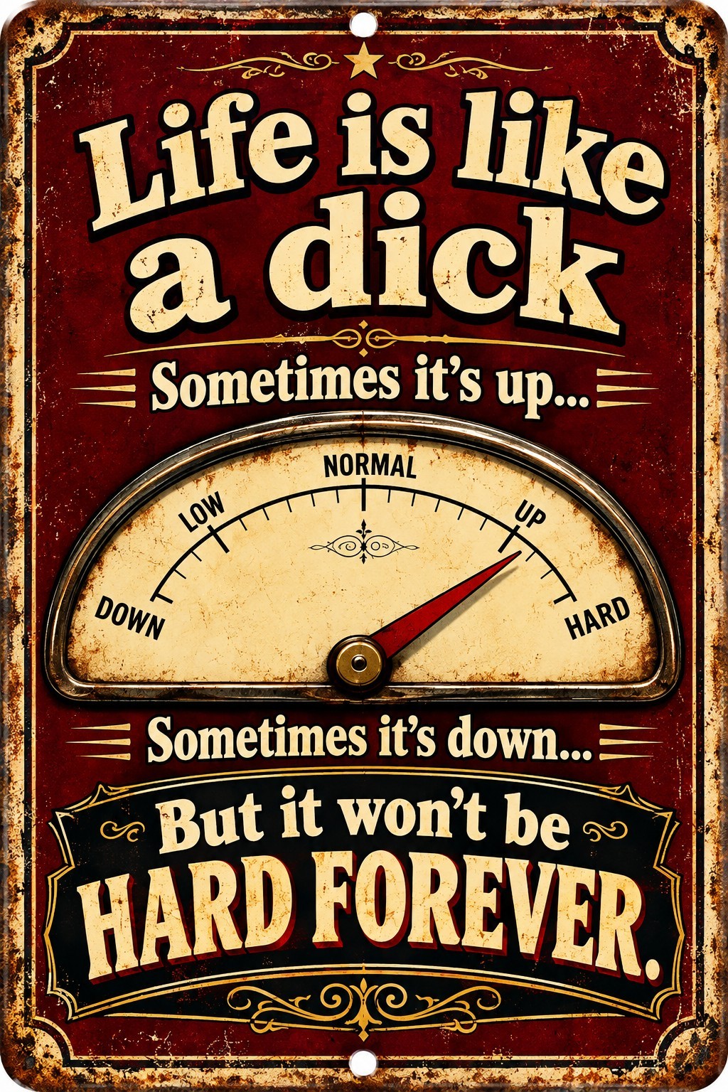 Funny Life Is Like a Dick Metal Sign 8x12 Adult Humor Garage Man Cave Wall Decor