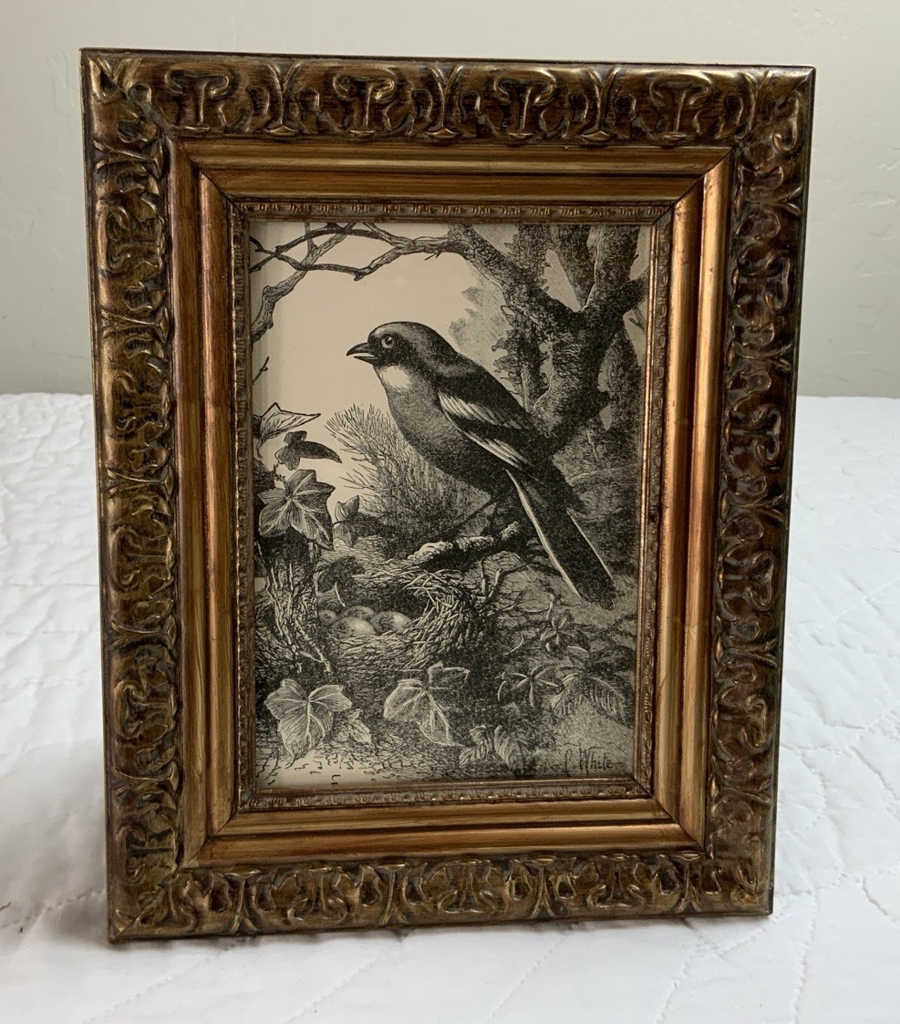 Antique Victorian Ephemera Framed, Children’s Book Illustration, Bird, 1800’s