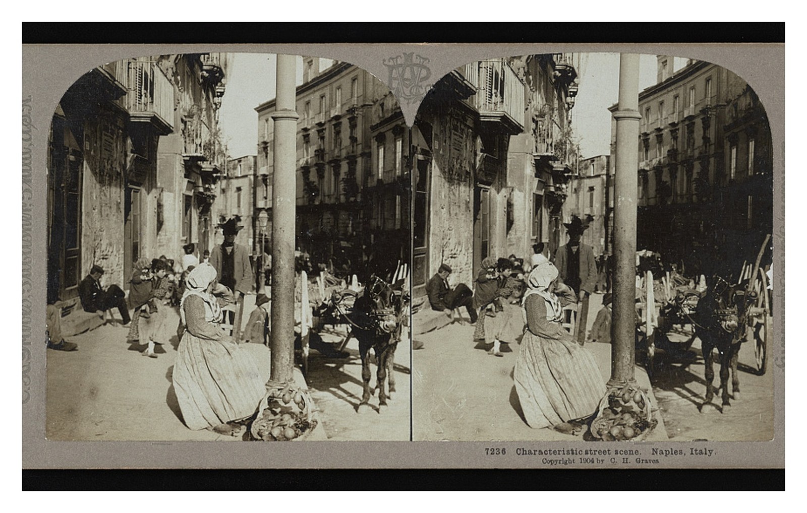Naples Italy Street Scene Standard Postcard