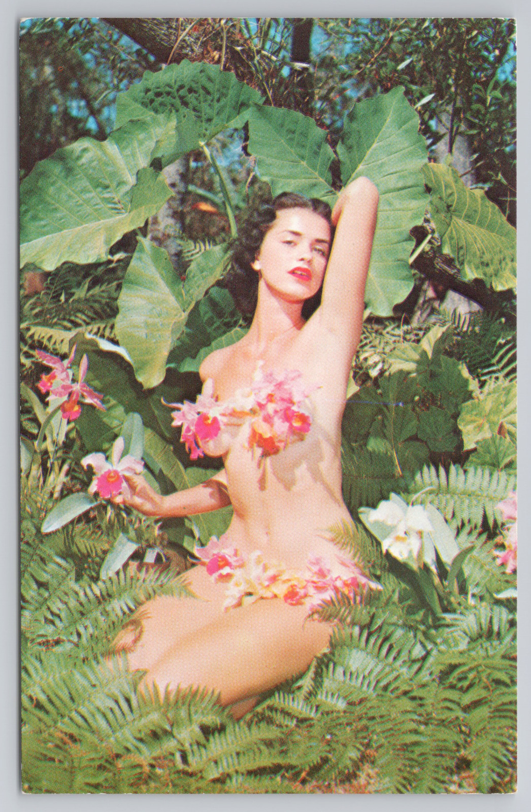 Vintage “Orchid Wahine” Hawaiian Pin‑Up Postcard Tropical Jungle Scene