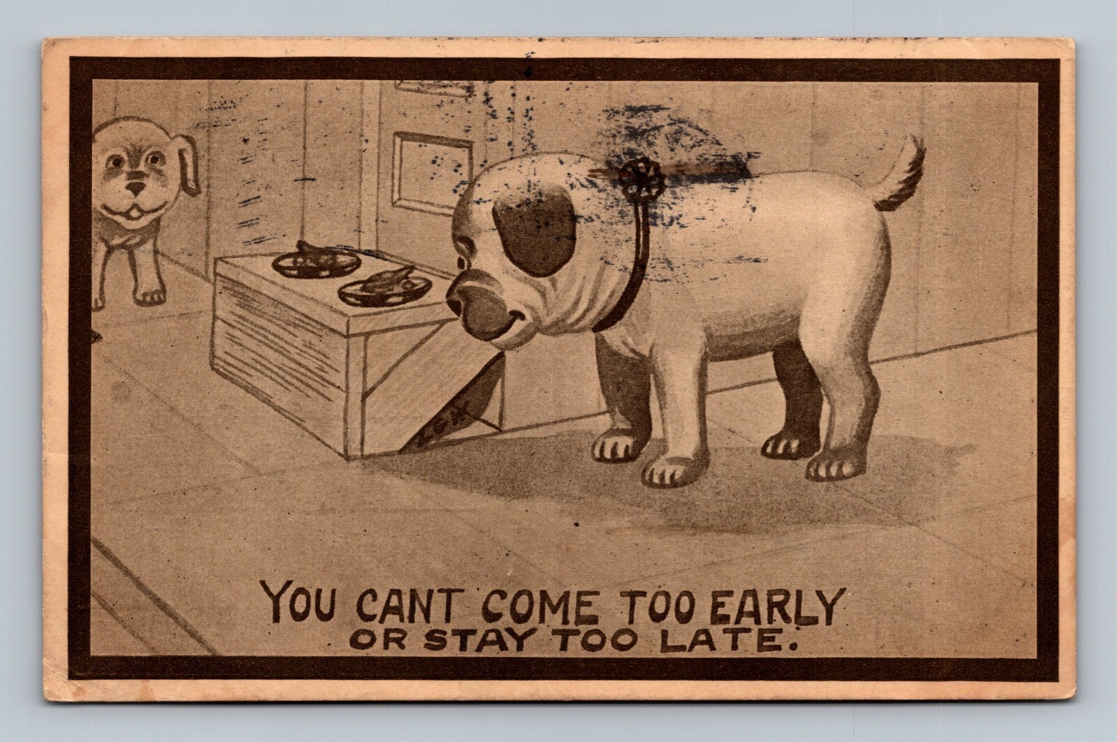 1910 Humorous Puppies Postcard \ 1910 Humorous Puppies Postcard \