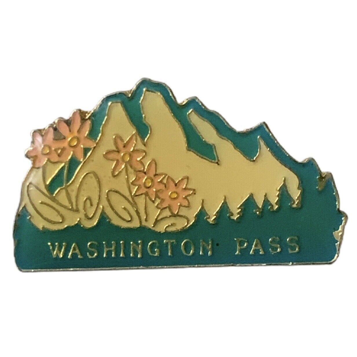 Vintage Washington Pass North Cascades Mountains Travel Souvenir Pin