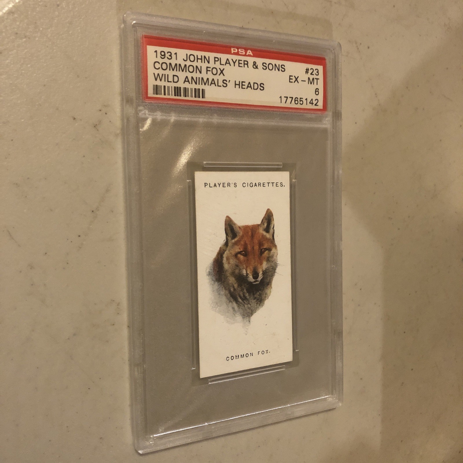 1931 JOHN PLAYER & SONS WILD ANIMALS HEADS TOBACCO CARD #23 Common Fox PSA 6