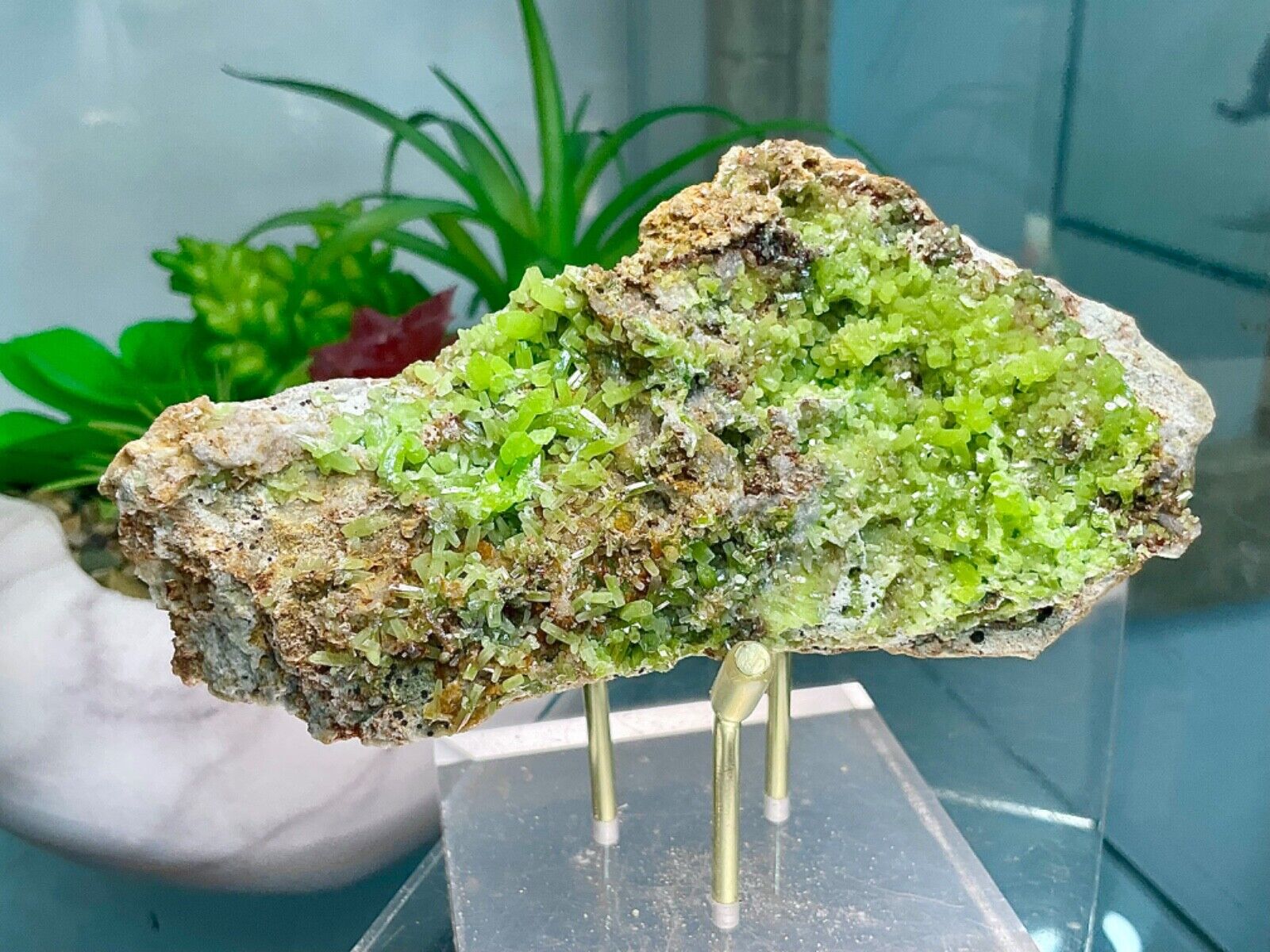High Quality-PYROMORPHITE -Daoping Mine, Gongcheng Co., Guilin Prefecture, China