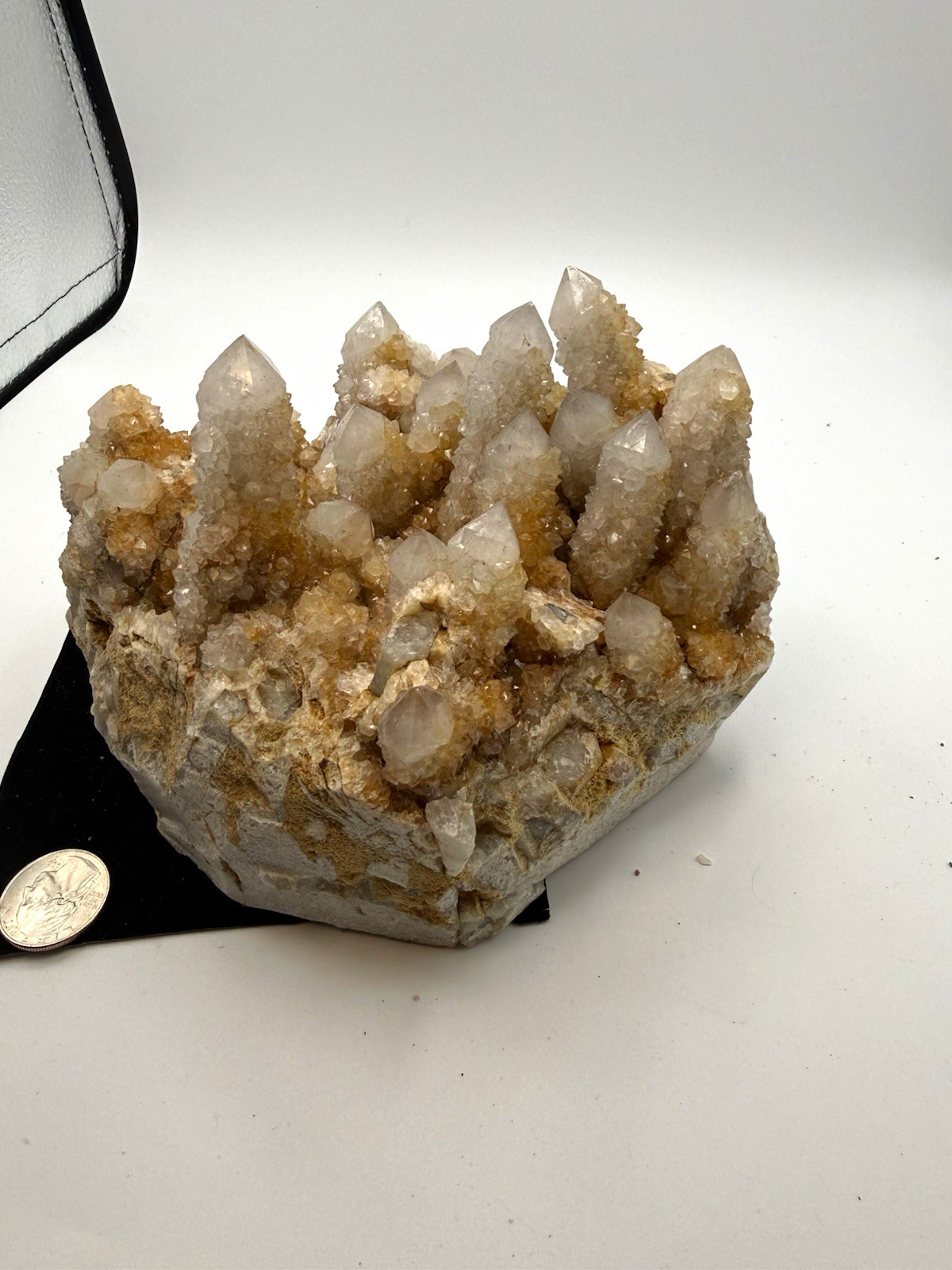 Large Golden Spirit Quartz Cactus Quartz Cluster Boekenhouthoek South Africa