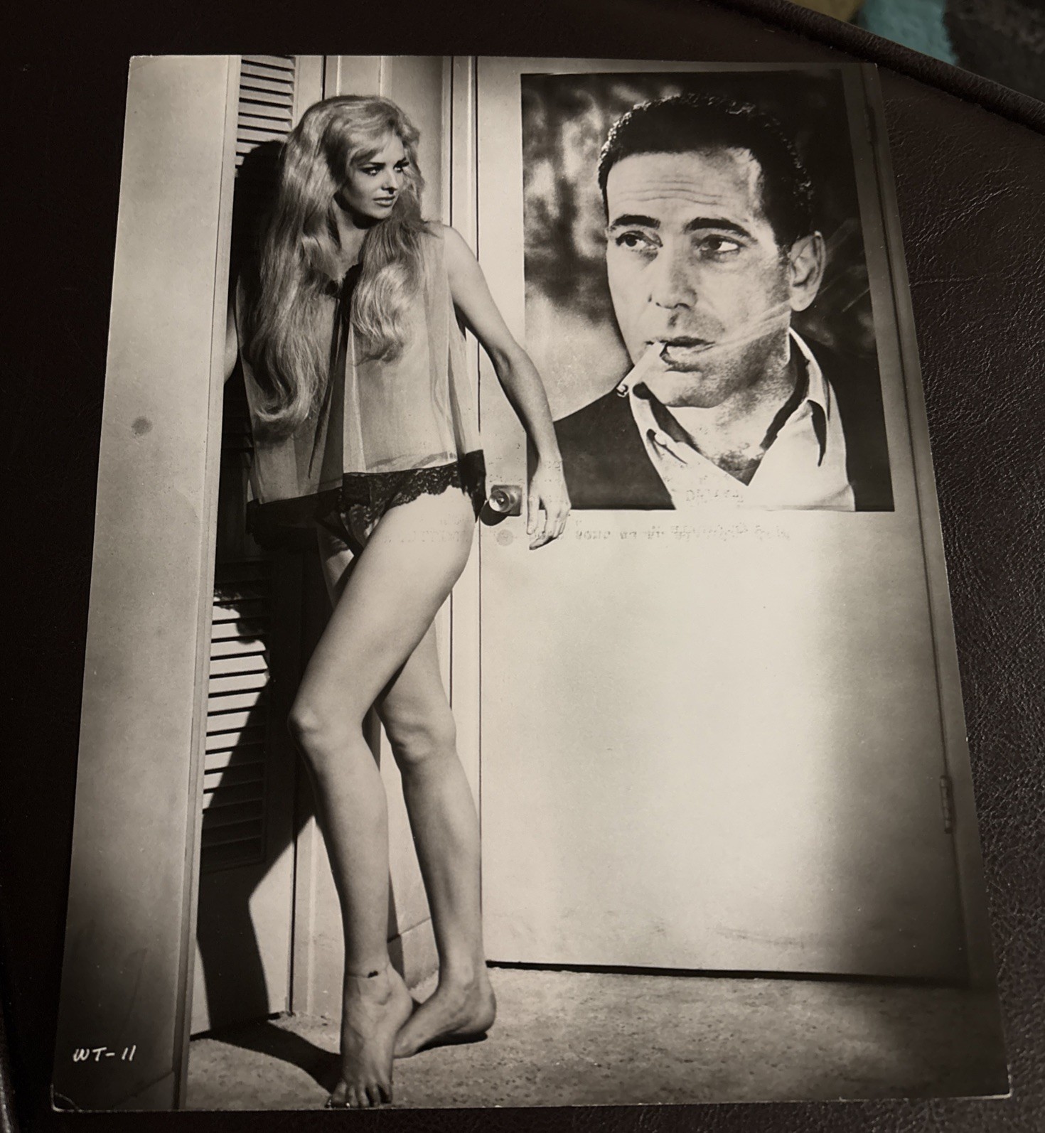 Edy Williams Vintage Original Movie Still 8x10 Photo 1960s