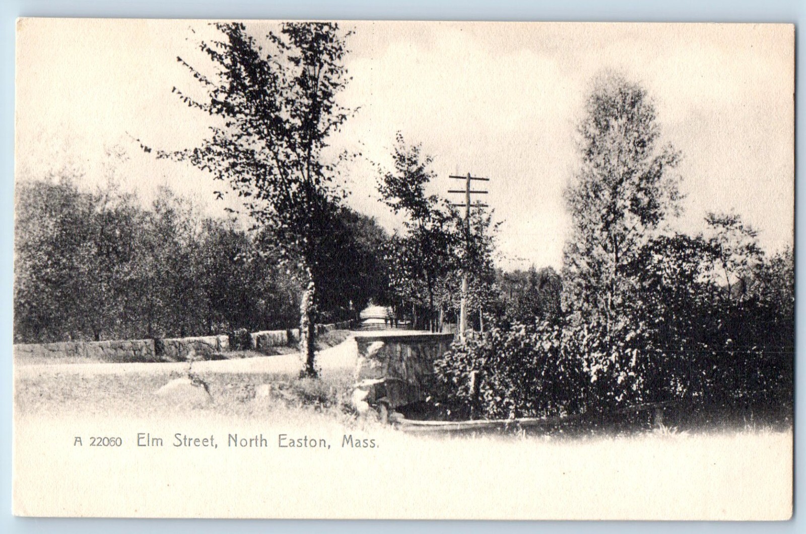 North Easton Massachusetts Postcard Elm Street Exterior View Trees c1905 Vintage