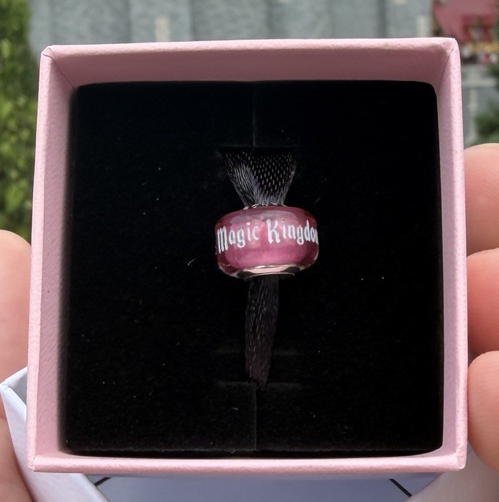 Disney Park 2026 Pandora WDW 55th Anniversary Magic Kingdom Murano Glass Charm