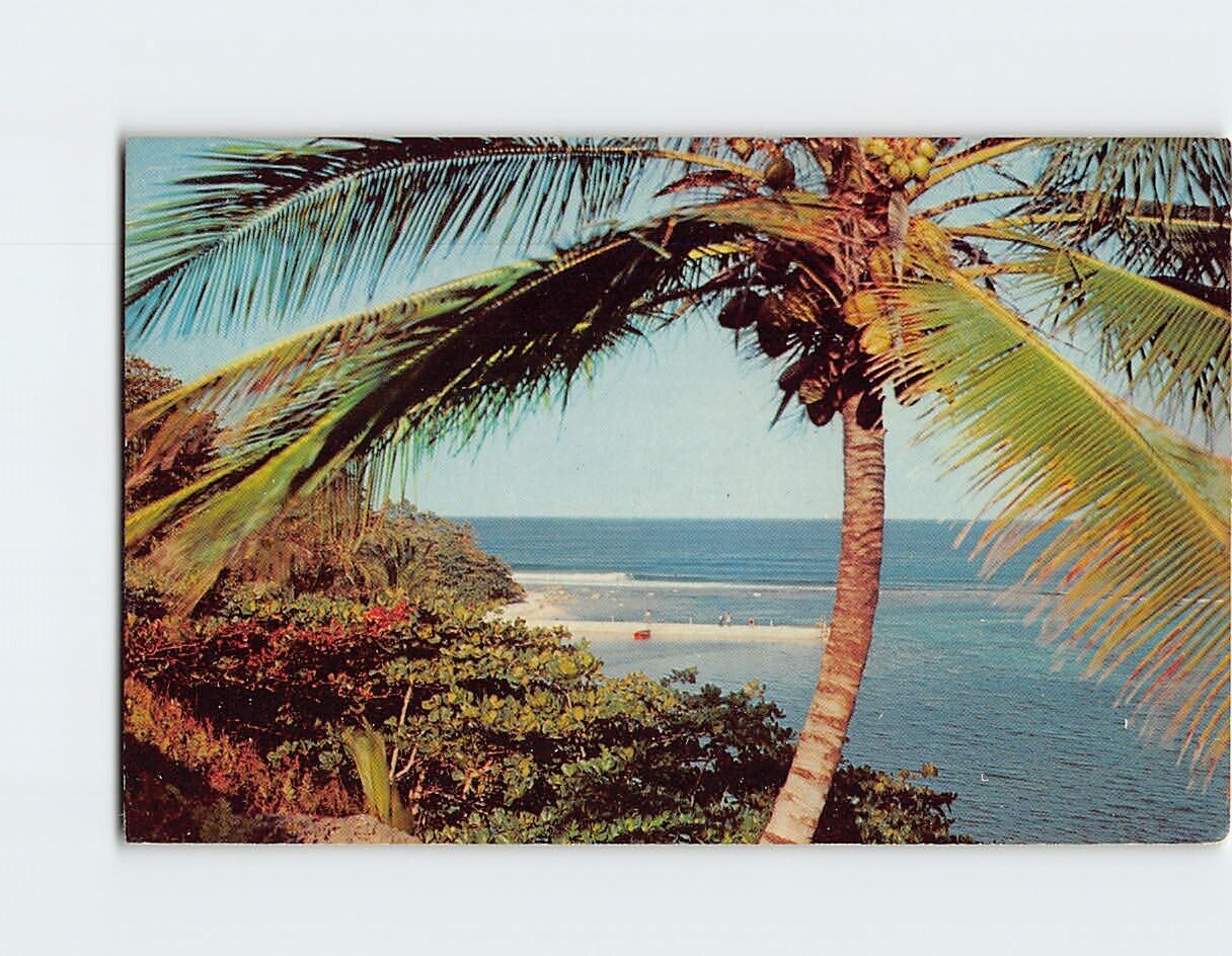 Postcard The Sunny Caribbean