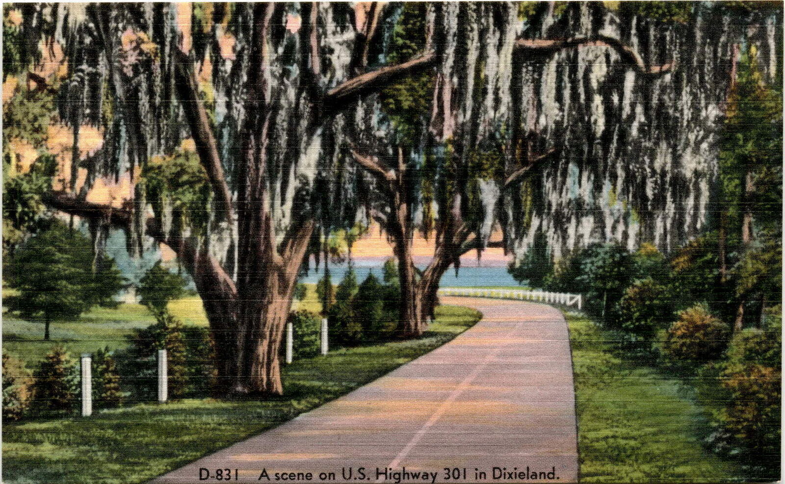 U.S. Highway 301, Dixieland, Asheville, N.C. Postcard