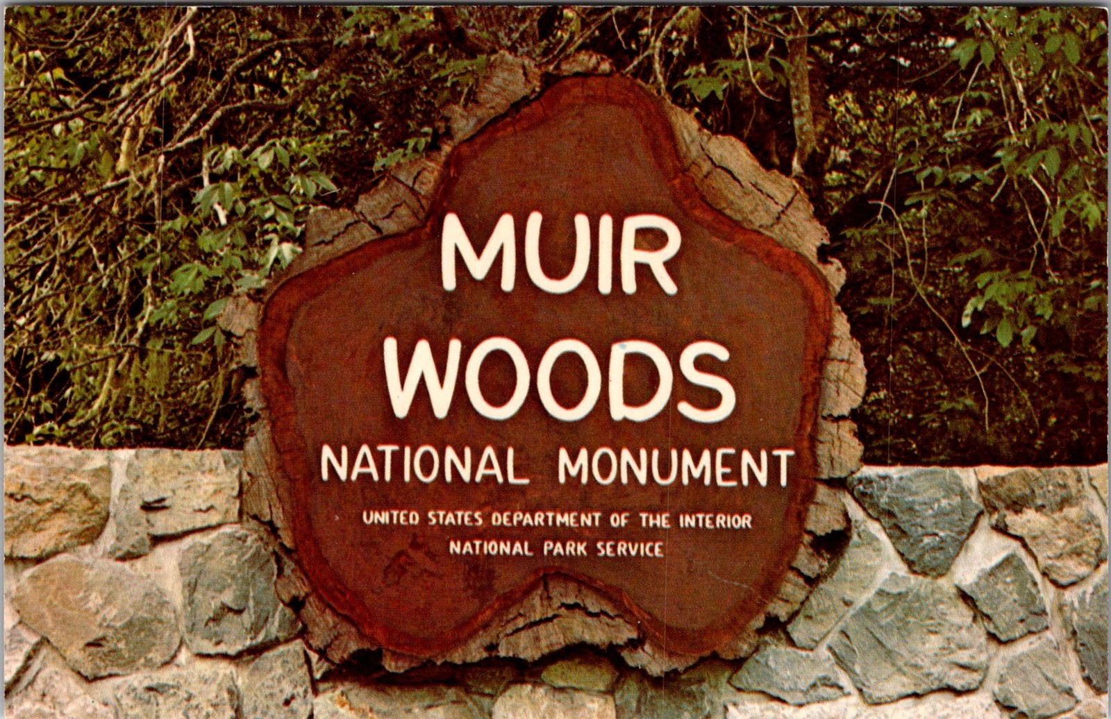 Muir Woods Mill Valley California Entrance Sign Vintage Postcard 4P25-27