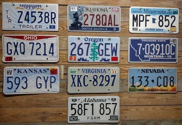 Variety of 10 expired 2013 Mixed State craft condition License Plate  Z4538R