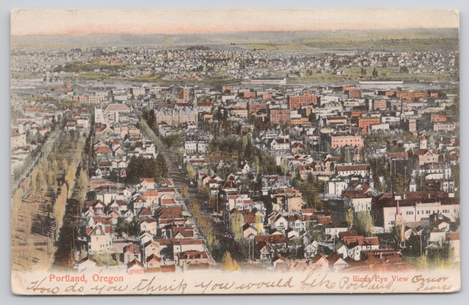 Postcard Portland Oregon 1906 Birds Eye View Aerial 